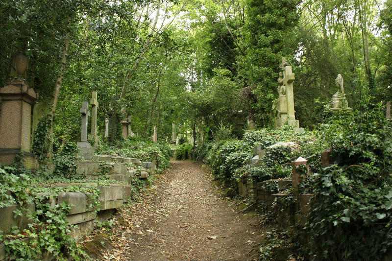 Необычные экскурсии по кладбищам (2)