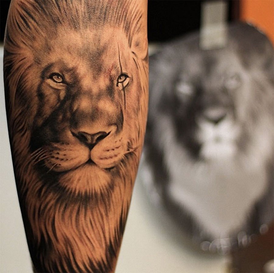 Татуировки львов: фото, значение.